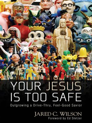 cover image of You Jesus Is Too Safe